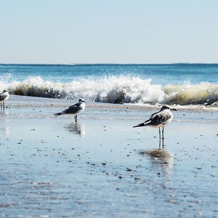 Direct Gulf Views With Deeded Beach Access Gulf Shores Exteriör bild